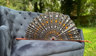 Cowry Shell Sunburst Fan